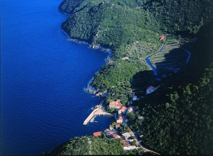 Polly Apartments With Swimming Pool Babino Polje 외부 사진
